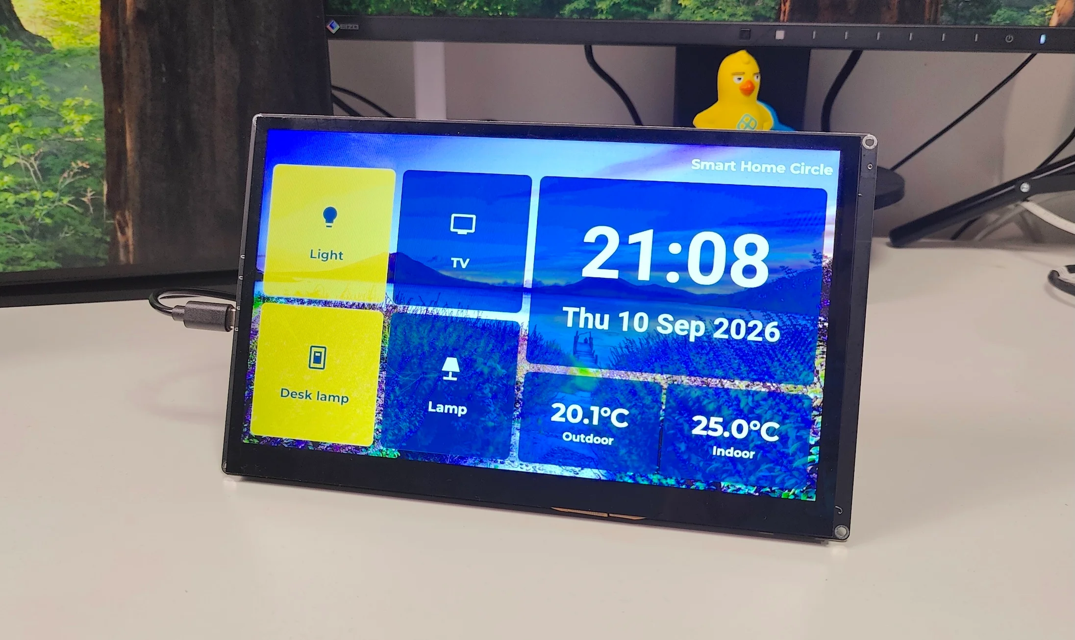 panel-display